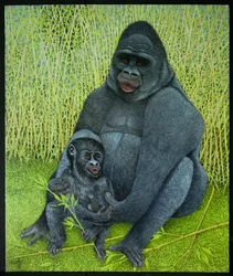 Gorillák