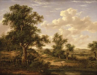 Heathland Godstone közelében