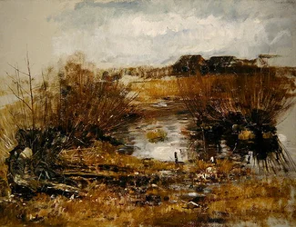 Waterhole fűzfa cserjékkel