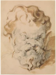 A Silenus vezetője