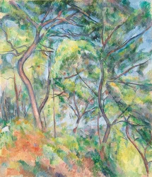 Aljnövényzet. 1894