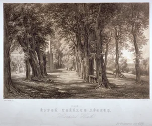 The Upper Terrace Avenue, Hampstead Heath, London, 1840