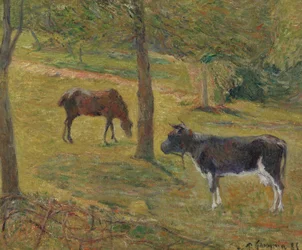 Francia: Vache et cheval dans un pré Tehén és ló a réten