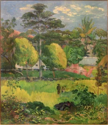Táj, 1901