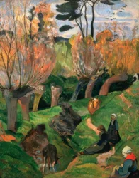 A Willows