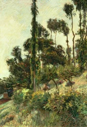 A domboldal, 1884