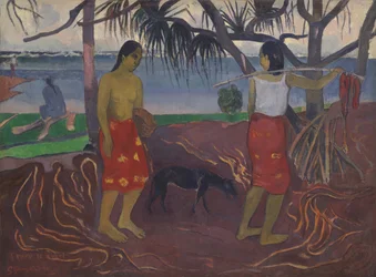 A Pandanus alatt