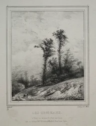 Tájak: Fiatal szilfák, 1829.