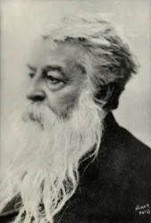 Ernest Messonnier portréja (fénykép)