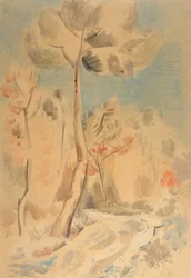 A fenyő