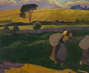 Mosónők Bellangenet-ben