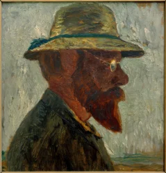 Táj fenyőfákkal