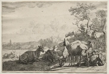 A juhász, 1644.