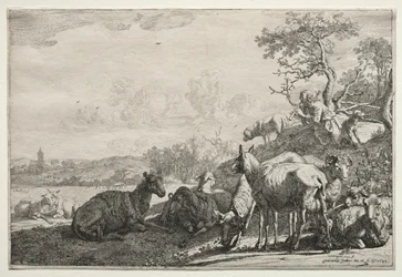A juhász, 1644.