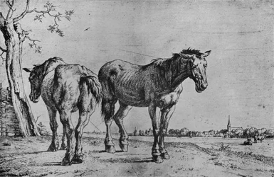 A két szántó ló, 1652