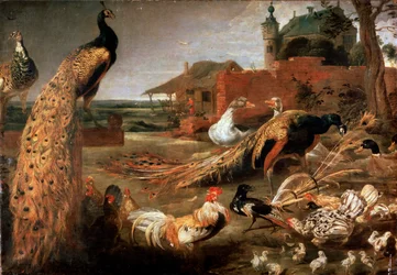 „Varjú pávatollakban”, kb. 1615-1690