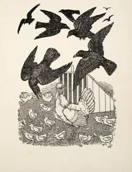 Számoló varjú, az Állatok száz anekdotájából, pub. 1924
