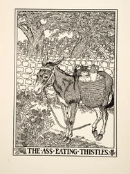 A bogáncsot evő szamár, A Hundred Fables of Aesopus, pub.1903