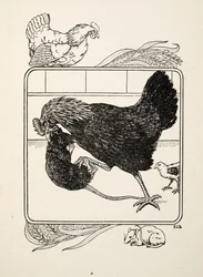 Egy tyúk hősiessége, az Állatok száz anekdotájából, kocsma. 1924