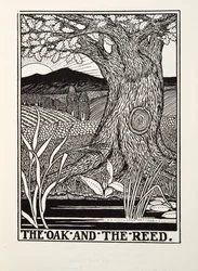 The Oak and the Reed, a Fontaine Fables, kocsma. 1905
