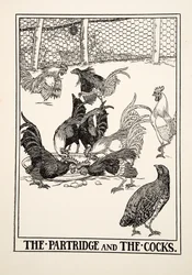 A fogoly és a kakasok, a Száz aiszóposzi mese című műből, megjelent 1903-ban