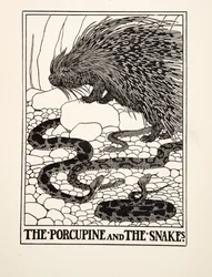 A Porcupine és a kígyók, A Hundred Fables of Aesopus, pub.1903 (metszet)