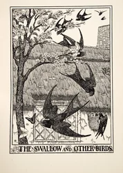 A fecske és más madarak, A Hundred Fables of Aesopus, pub.1903