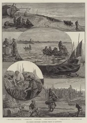 Halászati iparágaink, makrélahalászat Eastbourne-ben (metszet)