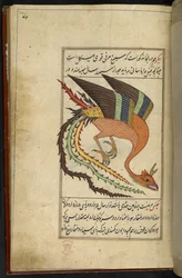 Adja hozzá az MS 15241 f.64r-t. A simurgh, egy iráni mennydörgés, a „Majma” Al-ghara’ib ritkasággyűjteményéből. Írta: Mohamed Balkhi szultán