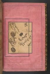 MS 5600, f.1v, The Shahnameh hozzáadása, szerző: (vellum)