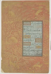 Kalligrafikus fólió, Irán, Szafavida-dinasztia