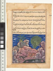XV. mese, A macska megtámadja az oroszlánt zavaró egereket, illusztráció a "Tuti-Nama" c. 1560. India, Mogul, Akbar uralkodása, 16. század