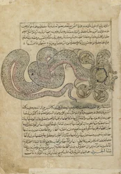 A tengeri kígyósárkány (al-Tannin), az Ajaib al-makhluqat (A teremtés csodái) fóliója al-Qazvinitől, Iraktól vagy Kelet-Törökországtól (átlátszatlan akvarell, tinta, arany és ezüst papíron)