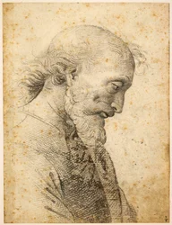 Férfi mellszobra, 1500-1503.