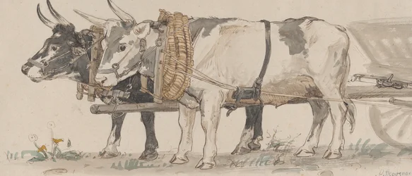 Két ökör húz egy szekeret, 1874.