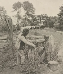 A Grindstone-ban – A Suffolk Farmyard