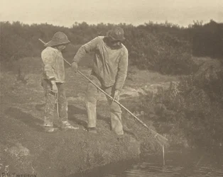 Angolnaszedés a suffolki vizekben