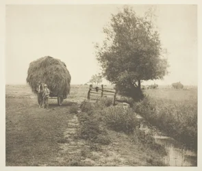 A Hayselben (Norfolk)