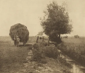 A szénaréten. [Norfolk.]