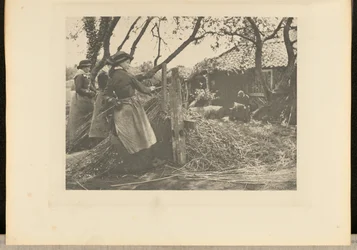 OsierPeeling. [Norfolk]].