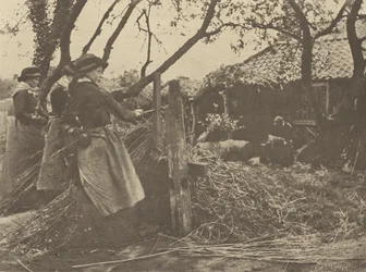 OsierPeeling. [Norfolk]].