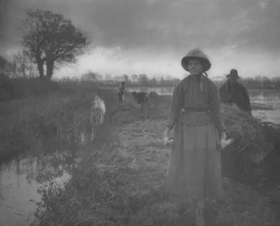 Poling a Marsh Hay