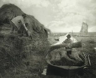 Ricking the Reed, 1885 körül (platina nyomat)