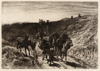 A Burro Train, Új-Mexikó