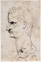 Gaius Caligula, az első tizenkét Caesar közül nyolc tíz rajzából, Giovanni da Cavino érmei után (toll és tinta papíron)