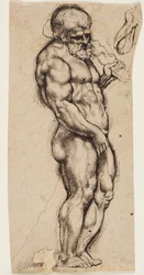 Herkules