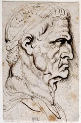 Vespasianus, az első tizenkét Caesar közül nyolc tíz rajzából, Giovanni da Cavino érmei után (toll és tinta papíron)