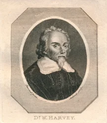 – Dr. W. Harvey, c1800.