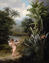 Ámor szerelemmel inspirálja a növényeket, Robert Thornton "Linnaeus szexuális rendszerének új illusztrációja" című könyvéhez készült, 1797 körül.