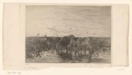 Tehenek víz közelében a réten Vaches au bord de l